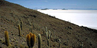 Isla del Pescador - Salar de Uyuni - BOLIVIA