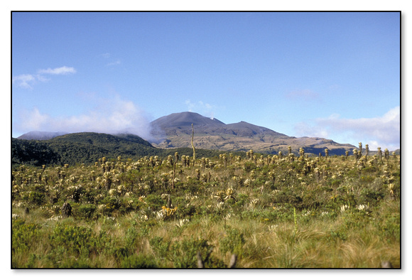 Purace Volcano (Cauca)